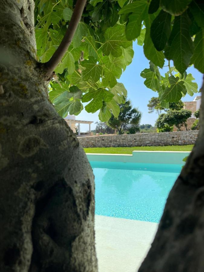 Masseria Baroni Di Montesardo Lido Marini Kültér fotó