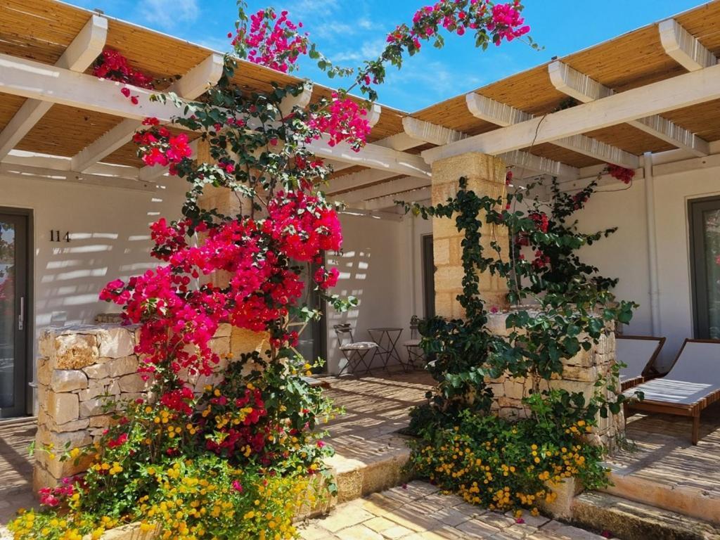 Masseria Baroni Di Montesardo Lido Marini Kültér fotó